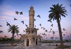 其他 5 In Vivo Hotel