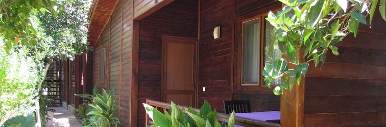 Khác Cinderella Pansiyon