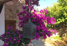 Lainnya 4 Villa Tokur