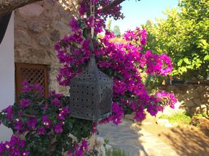 Lainnya 4 Villa Tokur