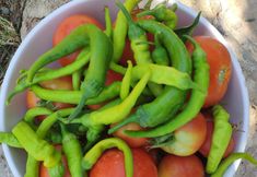 Others 6 Kabuk Ev Pansiyon