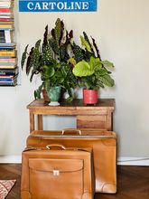 อื่นๆ 4 Accademia 39