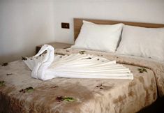 Others 2 Ephesus Hillside