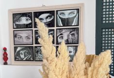 その他 2 Riad Ecila