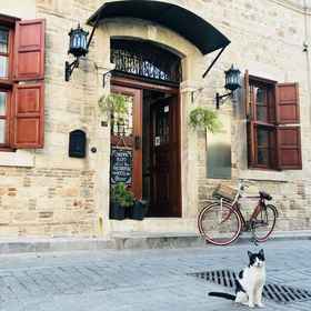 Primary image 1 Palm House 17 Oriental Guesthouse, Dolphin Park Hotels