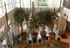 其他 2 Mercure Salvador Rio Vermelho Hotel