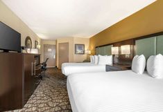 其他 7 Best Western Plus Oceanside Palms