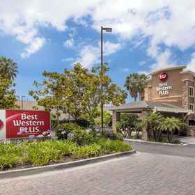 Primary image1貝斯特韋斯特普拉斯濱海棕櫚飯店,Sleeping Tiger Coffees飯店