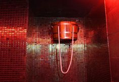 อื่นๆ 2 Acevi Villarroel