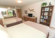 其他 3 The Grey Gull