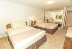 其他 2 The Grey Gull