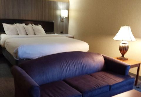 其他 Lavissh Inn & Suites