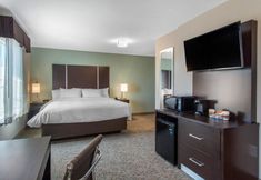 기타 4 Clarion Inn & Suites Atlanta Downtown