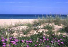 其他 5 Lagosmar Hotel