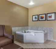 Others 5 Comfort Suites Delavan - Lake Geneva Area