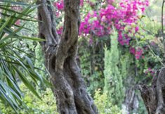 기타 3 Kontokali Bay Resort & Spa