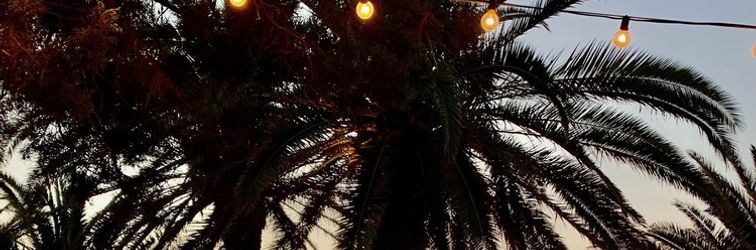 その他 Hotel Tagomago