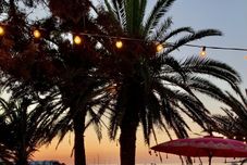 その他 Hotel Tagomago