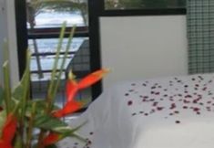 其他 6 Canarius D Gaibu Hotel