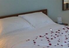 其他 3 Canarius D Gaibu Hotel