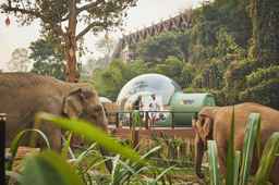 Anantara Golden Triangle Elephant Camp & Resort, SGD 2,290.63