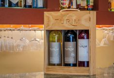 기타 6 TURIM Europa Hotel