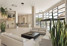 其他 5 Hotel Best Oasis Tropical