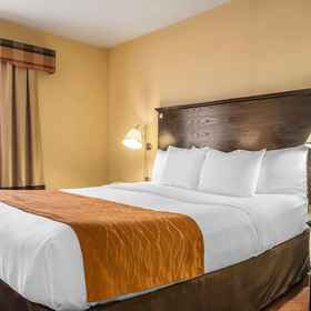 Primary image1Comfort Inn & Suites LaGuardia Airport,纽约州飯店