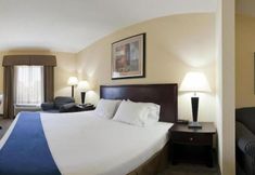 其他 5 Holiday Inn Express Hotel & Suites Clearwater/Us 19 N by IHG