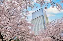 Mandarin Oriental, Tokyo, THB 50,692.53