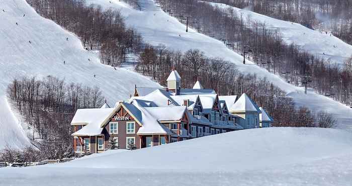 Lainnya Westin Trillium House, Blue Mountain