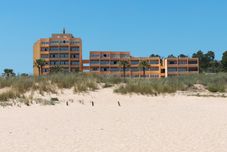 その他 Dom Pedro Lagos