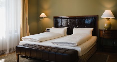 기타 2 Louisa's Place