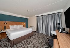 其他 3 Wyndham Garden Niagara Falls Fallsview