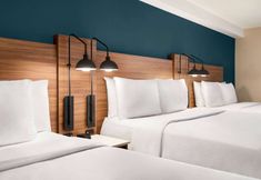 其他 6 Wyndham Garden Niagara Falls Fallsview