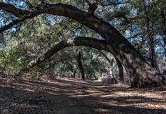 其他 3 San Vicente Golf Resort