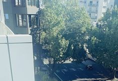 기타 7 VR Auckland City
