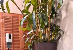 อื่นๆ 4 Marco LaGuardia Hotel