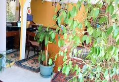 Others 2 Cosmopolitan Park Hotel