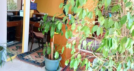 Others 2 Cosmopolitan Park Hotel