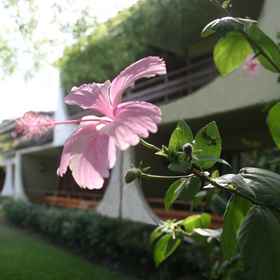 Primary image1坦噶尼喀湖俱樂部飯店,布隆迪飯店