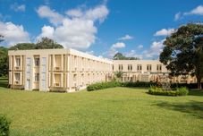 其他 Sunbird Mzuzu