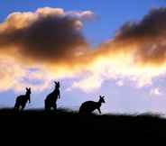 Others 5 Sky House Kangaroo Island