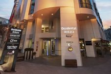 其他 Occidental Ankara