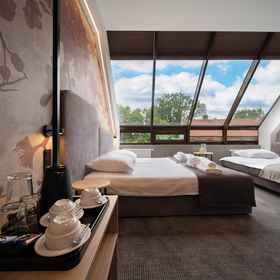 Primary image 1 ホテル アレクサンダー I, スピスキ宮殿 ホテル