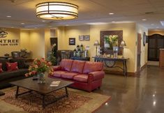 其他 2 Raintree's Sandcastle