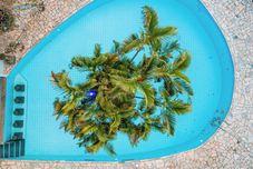 その他 SUIÇA IGUAÇU Hotel & Resort