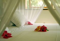 其他 5 Txai Resort Itacaré