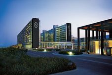 其他 Nirvana Cosmopolitan