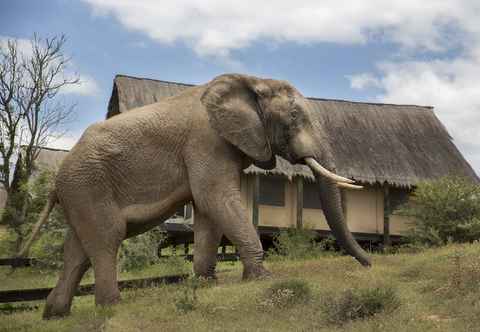 Others Gorah Elephant Camp